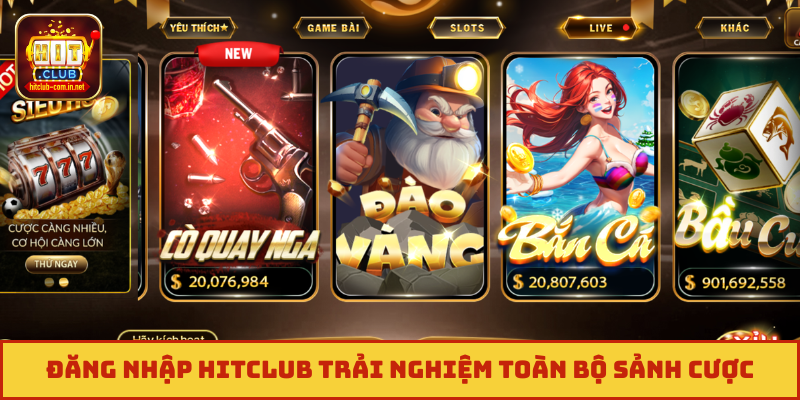 Đăng nhập Hitclub trải nghiệm toàn bộ sảnh cược