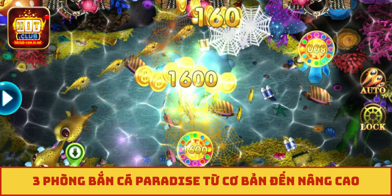 3 phòng bắn cá Paradise từ cơ bản đến nâng cao